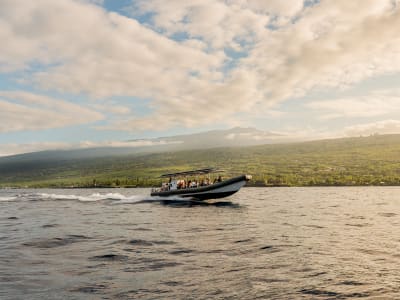 Excursion en zodiac au coucher du soleil sur la Grande île, au départ de Kailua Kona