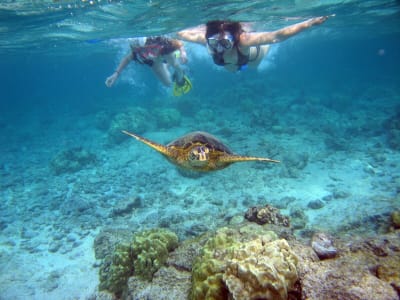 Snorkelling Excursion in Santa Maria, Cape Verde