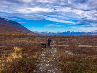 Excursión guiada al Parque Nacional de Abisko desde Kiruna