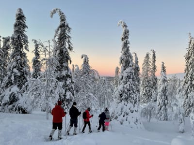 Excursion en raquettes dans le parc national de Pallas-Ylästunturi au départ de Levi