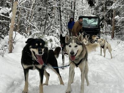 Kanu-Kartfahren in der Nähe von Saguenay, in La Baie