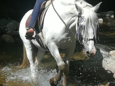 Balade à cheval à côté de Prades, Pyrénées-Orientales