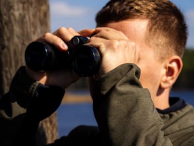 Arctic Bird and Wildlife Watching Experience from Rovaniemi