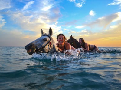 Horseback Riding & Swimming Experience in Zakynthos