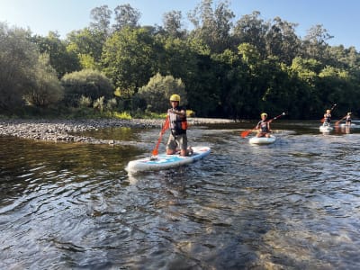 Stand-up Paddle Excursion on the River Lima near Viana do Castelo