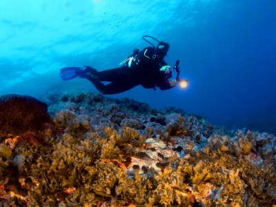 Excursion de plongée sous-marine en deux bateaux à Kos depuis Kefalos