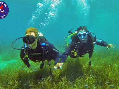 Descubre el buceo en la playa de Glyfa, Alonissos
