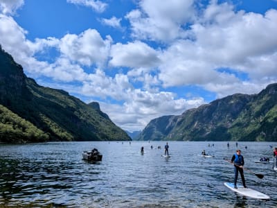 Guided Stand-Up Paddling Excursion around Frafjord, near Stavanger