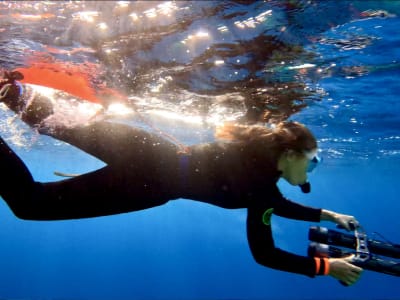 Guided underwater scooter tour of Calvi Bay