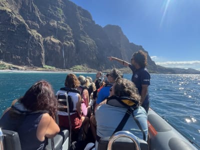Excursión de Avisatemiento de Ballenas & Delfines desde Funchal, Madeira