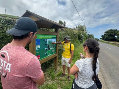 Senderismo guiado por las bahías de Agualva en Terceira, Azores