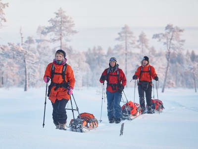 Overnight Snowhsoe Touring Excursion in Pyhä-Luosto National Park from Pyhä