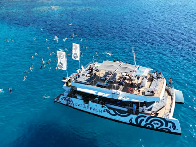 Catamaran Tour in the Gulf of Ajaccio