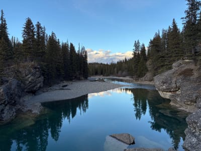 Calgary Nature Loop: The Urban Wild Guided Tour