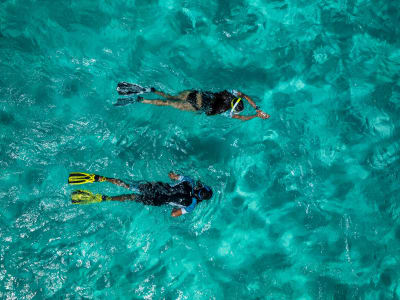 Excursion de snorkeling dans la Réserve marine du Nord de Minorque depuis Fornells