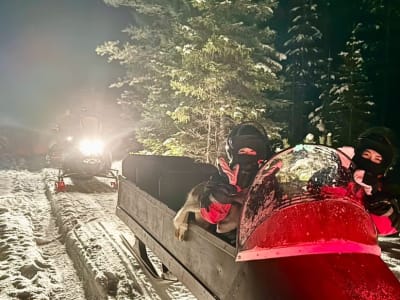 Nordlicht-Schneemobil-Schlittenfahrt ab Rovaniemi