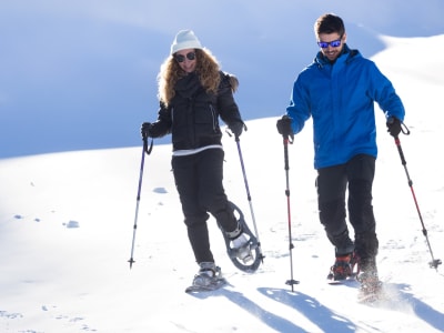 Excursión guiada con raquetas de nieve desde Rovaniemi 