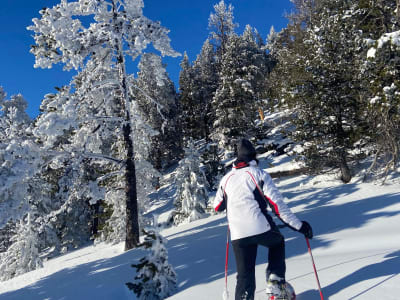 Randonnée guidée en raquettes à neige au départ de Bousson près de Sestrières
