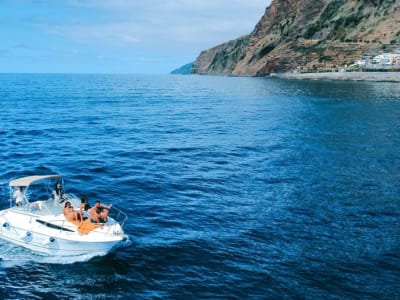 Private Whale Watching Cruise from Calheta, Madeira