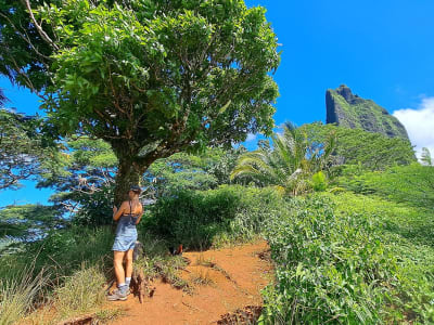 Excursión privada al Col des 3 Cocotiers y visita al Jardín Tropical de Moorea