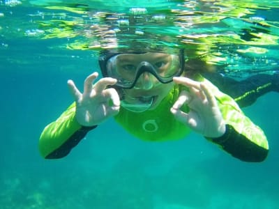 Excursión guiada de snorkel en Porto Torres, Cerdeña 