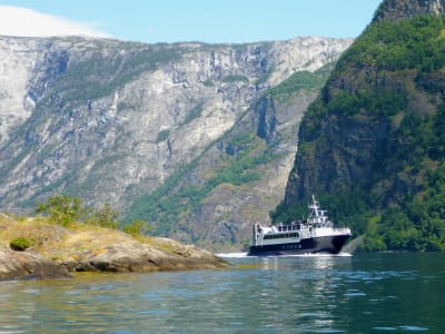 Excursion guidée en bateau dans les fjords et sur le glacier de Bøyabreen au départ de Bergen