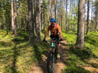 Geführte Mountainbike-Tour zum Bømoen Wald von Voss aus