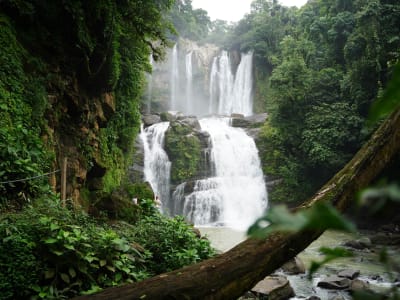 Excursión a las Cascadas de Nauyaca desde Manuel Antonio, Quepos