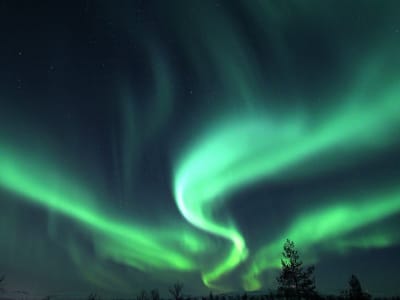 Excursion aux aurores boréales dans la vallée de Målselv depuis Moen 