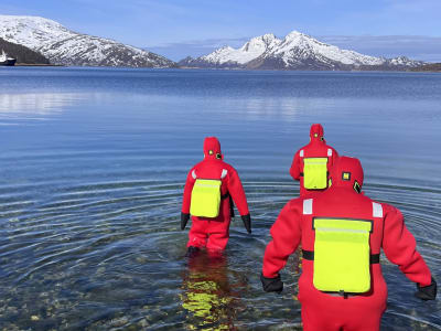 Excursion flottante dans les fjords de l'Arctique depuis Tromsø