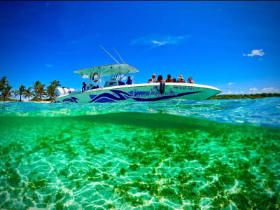 Sea trip and excursion to Petite-Terre from Saint-François, Guadeloupe