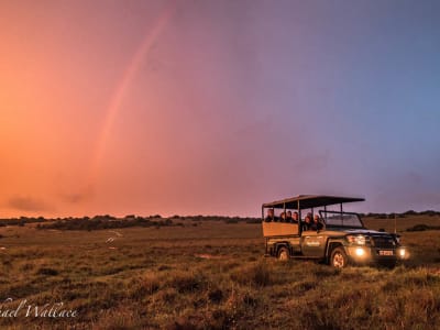 Safari in the Amakhala Game Reserve from Gqeberha (Port Elizabeth)