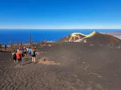 Randonnée guidée vers le nouveau volcan (2021) de La Palma