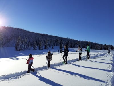 Excursión con raquetas de nieve por el Alpe Cimbra desde Folgaria, cerca de Arco