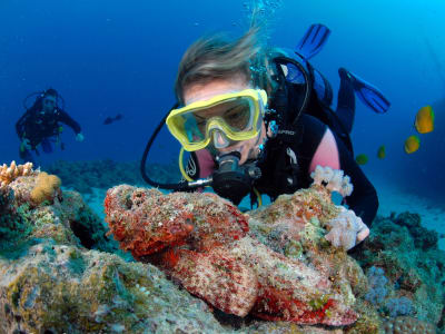 Discover scuba diving in Belle Mare, Mauritius