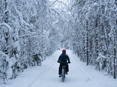 Ruta invernal en bicicleta eléctrica por Laponia, desde Rovaniemi