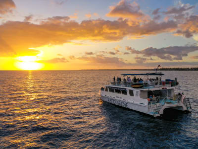 Histórico crucero con cena al atardecer por la bahía de Kealakekua desde Kailua Kona, Isla Grande