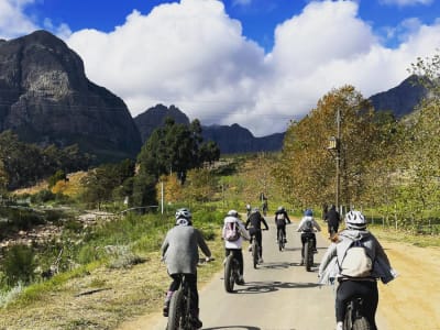 Visita guiada en bicicleta eléctrica por los viñedos de Stellenbosch, cerca de Ciudad del Cabo