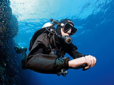 Buceo de exploración en la Reserva Marina de Arrábida desde Sesimbra