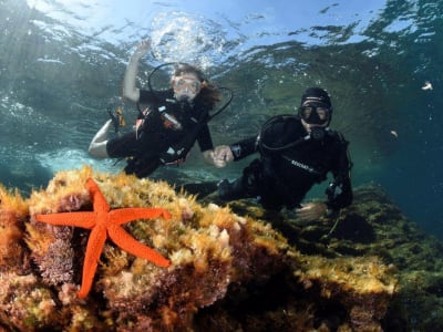 Scuba Diving in Santa-Maria-Poggio bei Bastia