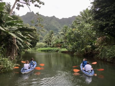 Guided Kayak Excursion on the Faaroa River in Raiatea
