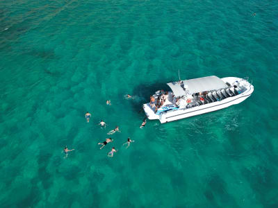 Excursión de Snorkel en la Reserva Marina de la Bahía de Palma, Mallorca