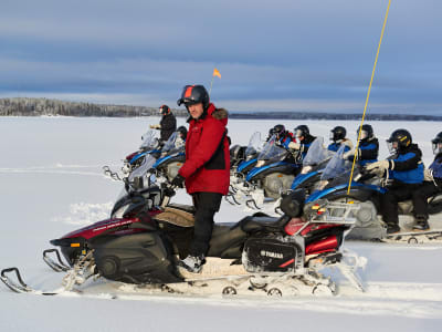 Excursion en motoneige dans la forêt et sur la glace à Brändön, près de Luleå