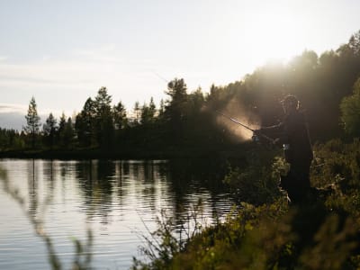 Excursión de pesca de verano al sol de medianoche en Ivalo