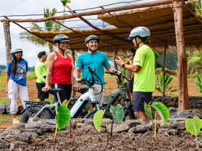  Excursión guiada en bicicleta eléctrica por la Gran Isla, cerca de Hilo