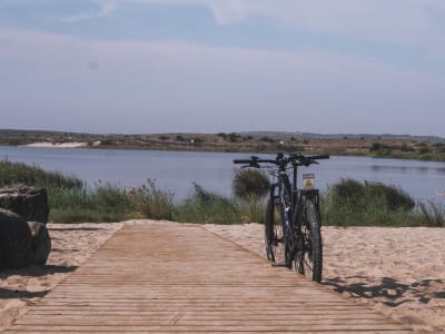 E-bike & paddle excursion at Lagoa da Ervedeira from Leiria, Portugal