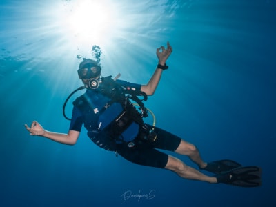 Exploration Dive in the Réunion Marine Nature Reserve, departing from Saint-Leu