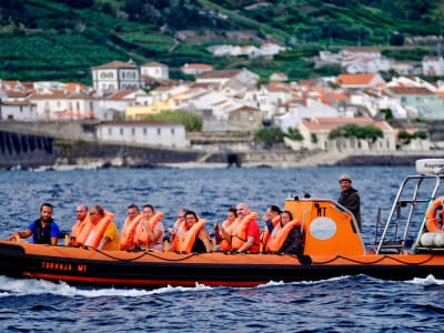 Paseo en barco por el islote de Vila Franca do Campo, Azores
