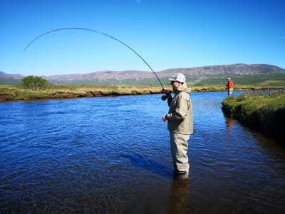 Fishing Day Tour from Reykjavík