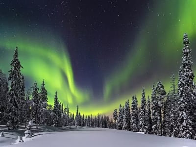 Persecución de auroras boreales en Sonkamuotka desde Levi